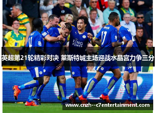 英超第21轮精彩对决 莱斯特城主场迎战水晶宫力争三分