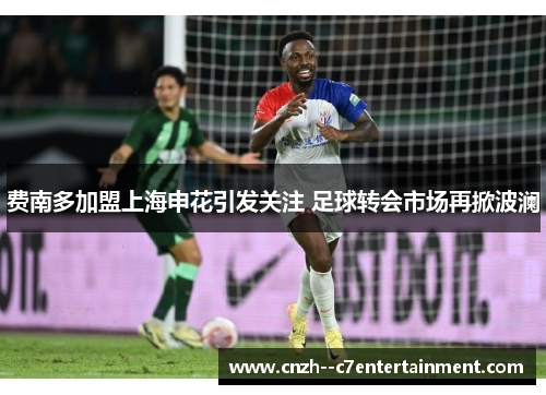 费南多加盟上海申花引发关注 足球转会市场再掀波澜 费南多加盟上海申花引发关注 足球转会市场再掀波澜